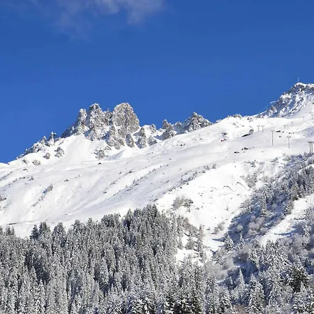 Skis Aux Pieds, Bien Equipe Avec Wi-fi - Les Allues - Fr-1-182-42 Apartment *