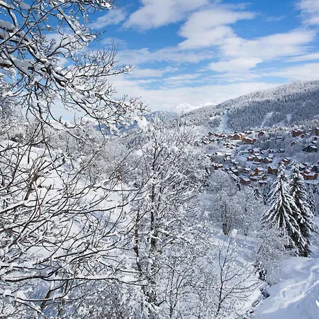 Apartment Skis Aux Pieds, Bien Equipe Avec Wi-fi - Les Allues - Fr-1-182-42 *